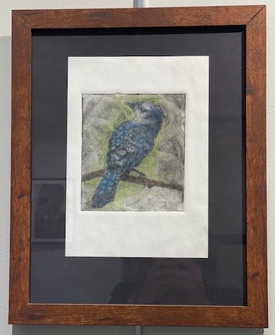 Blue Jay - Zelma Carlson, Clinton High School